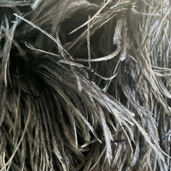 Dolce & Gabbana Black Ostrich Feather Embellished Cropped Bolero Jacket - Picture 6 of 6